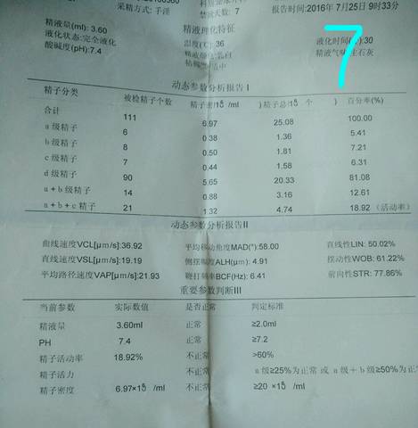 journal_insert_pic_580609827