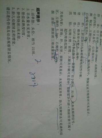 journal_insert_pic_581061354