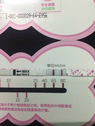 journal_insert_pic_581652897