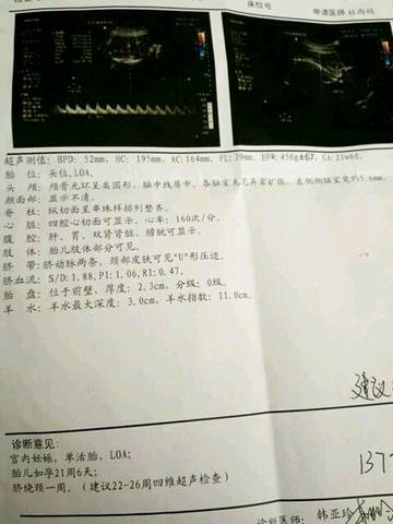 journal_insert_pic_581677517