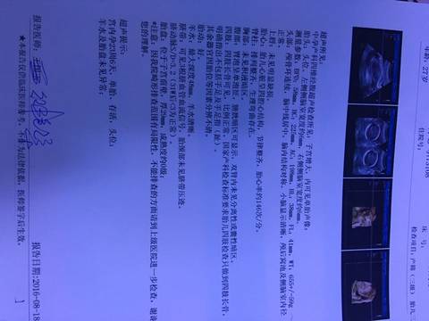 journal_insert_pic_583154420