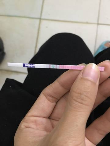 journal_insert_pic_584500758