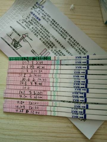 journal_insert_pic_585101198