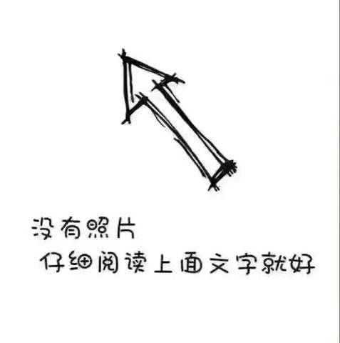 journal_insert_pic_584924766