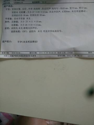 journal_insert_pic_585811164
