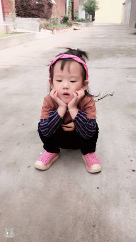 journal_insert_pic_586829652