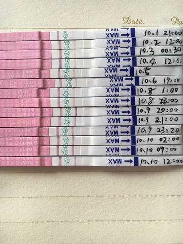 journal_insert_pic_587105033