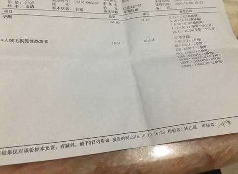 journal_insert_pic_587334665