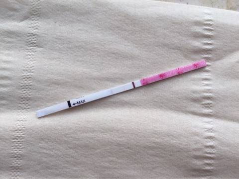 journal_insert_pic_587634944