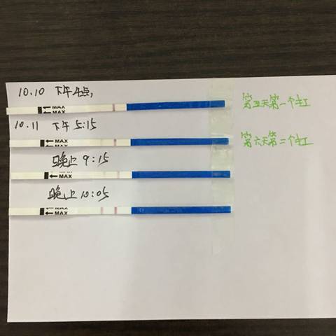 journal_insert_pic_588126787