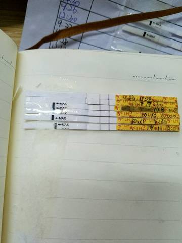 journal_insert_pic_589010291