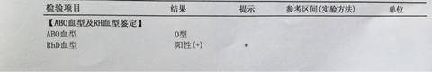 journal_insert_pic_589091412