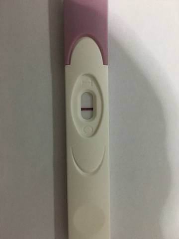 journal_insert_pic_589810498