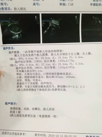 journal_insert_pic_589562658