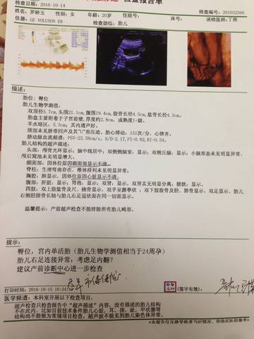journal_insert_pic_590940688