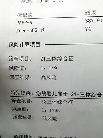 journal_insert_pic_590804428