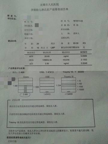 journal_insert_pic_590815424