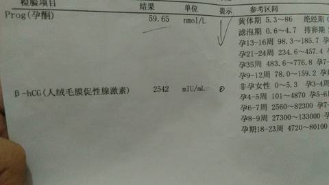 journal_insert_pic_592018035