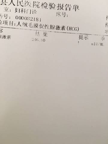 journal_insert_pic_592854405