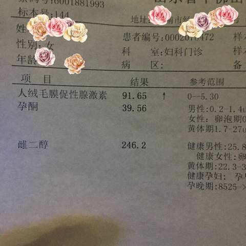journal_insert_pic_592854391