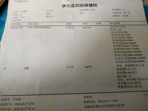 journal_insert_pic_592887998