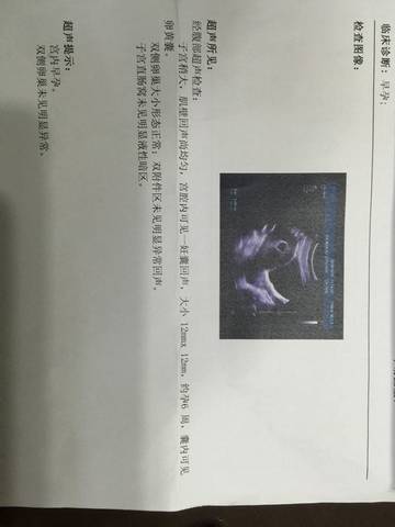journal_insert_pic_593040070