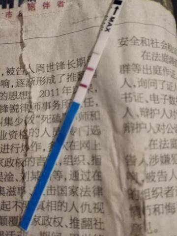 journal_insert_pic_594463978