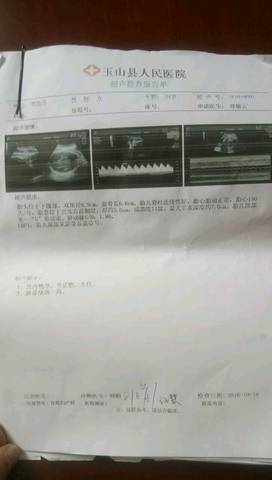 journal_insert_pic_594356020