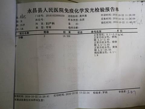 journal_insert_pic_595052796
