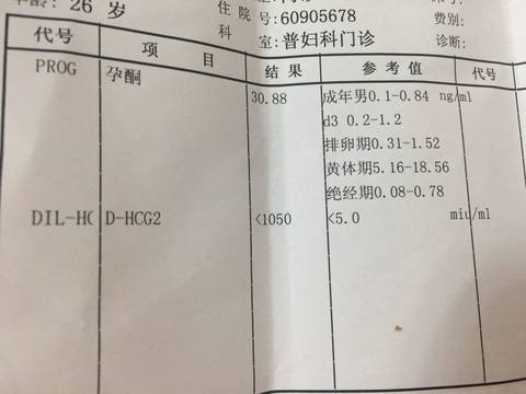 journal_insert_pic_595071867