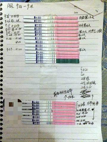 journal_insert_pic_594711842