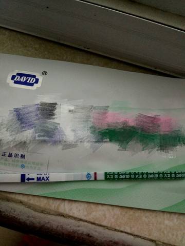 journal_insert_pic_594751569