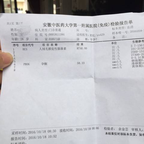 journal_insert_pic_595692082