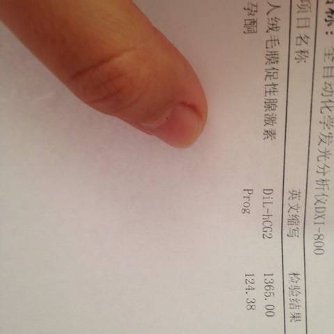 journal_insert_pic_596270061