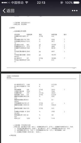 journal_insert_pic_596607980