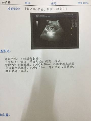 journal_insert_pic_597432566