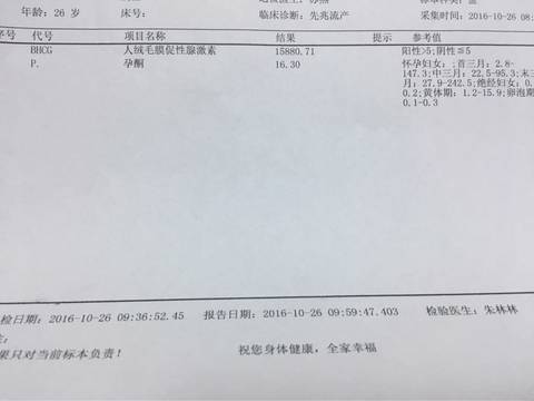 journal_insert_pic_598298995