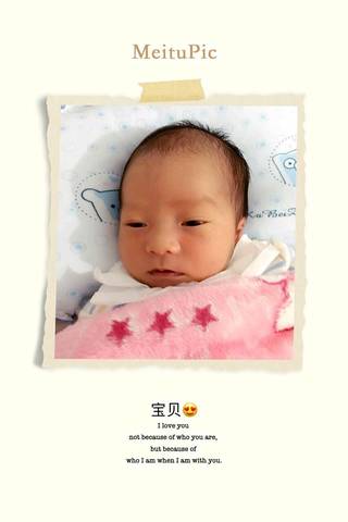 journal_insert_pic_598793371
