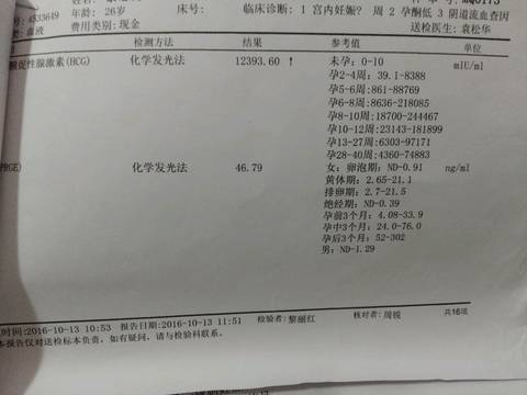 journal_insert_pic_600569278