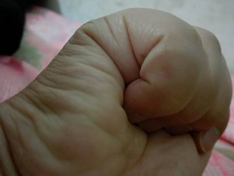 journal_insert_pic_601279295