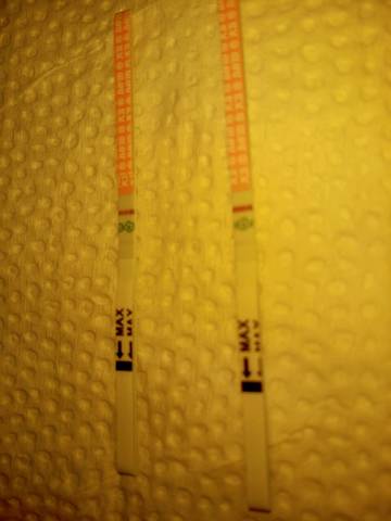 journal_insert_pic_602420588
