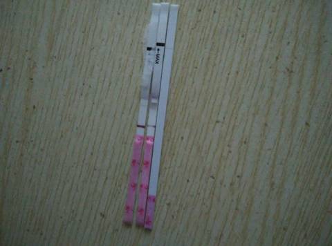 journal_insert_pic_602660334