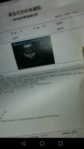 journal_insert_pic_603740999