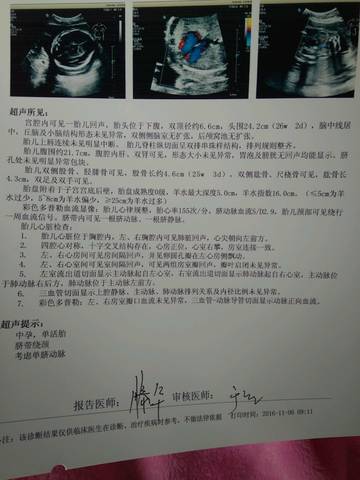 journal_insert_pic_603941440