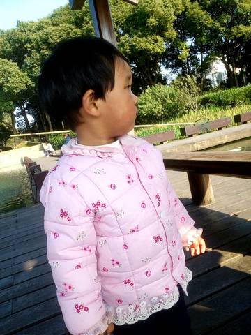 journal_insert_pic_604231085