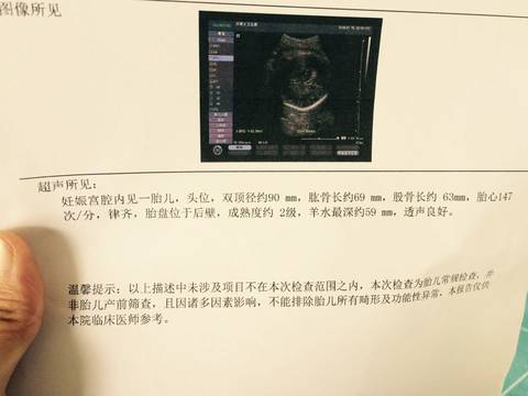 journal_insert_pic_604744211