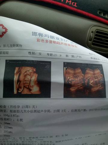 journal_insert_pic_606043270