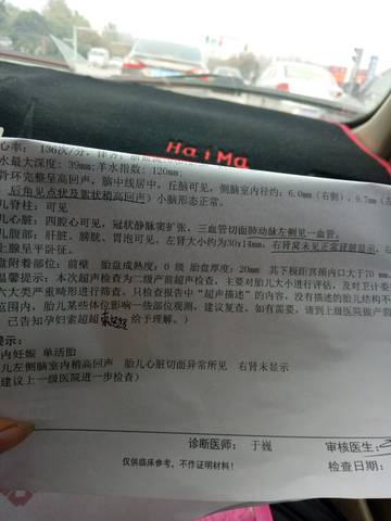 journal_insert_pic_606043263