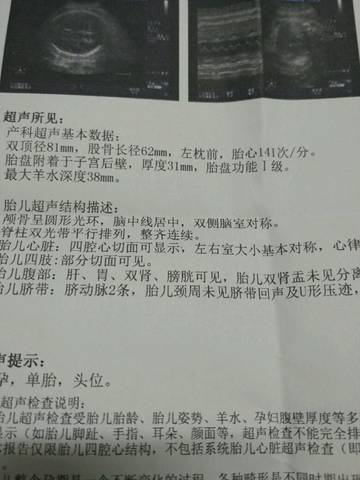 journal_insert_pic_606046997