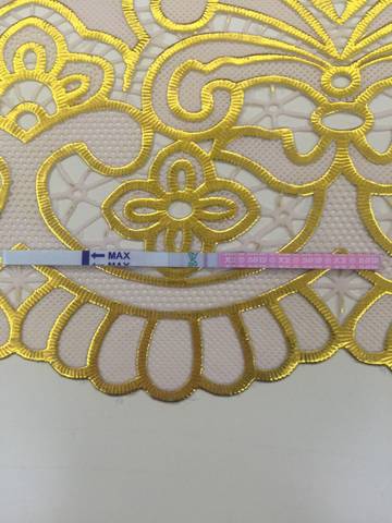 journal_insert_pic_606760494